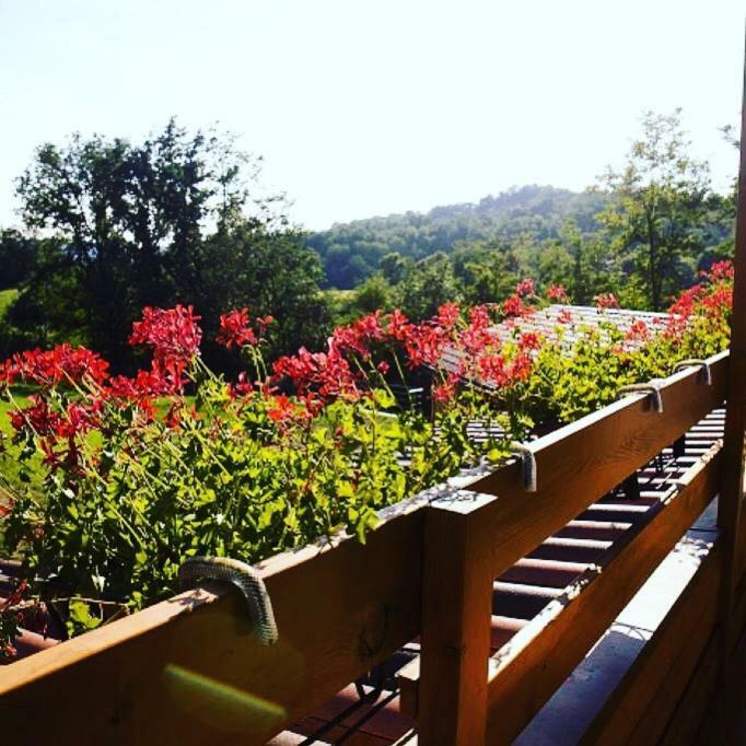 Ca' Del Cuco Bed and Breakfast Barzana Eksteriør billede